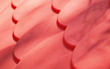 Rathven plastic roof costs